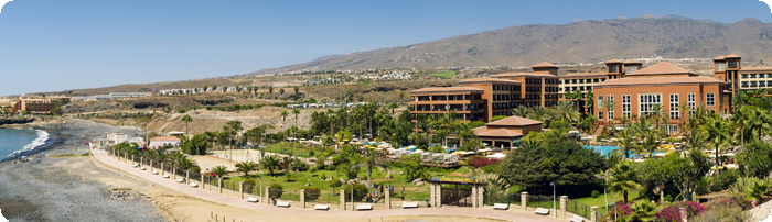 Holidays to Costa Adeje Palace